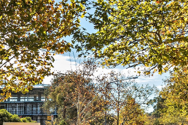 Buying your first investment property? Choose your property management wisely - this is how