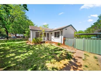 Renovate, Extend or Reimagine in the Inner North