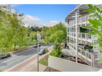 Coming Soon! A Palatial Sanctuary in the Heart of Canberra's Inner South