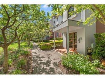 Much-Loved Three Bedroom Apartment with Leafy Outlook